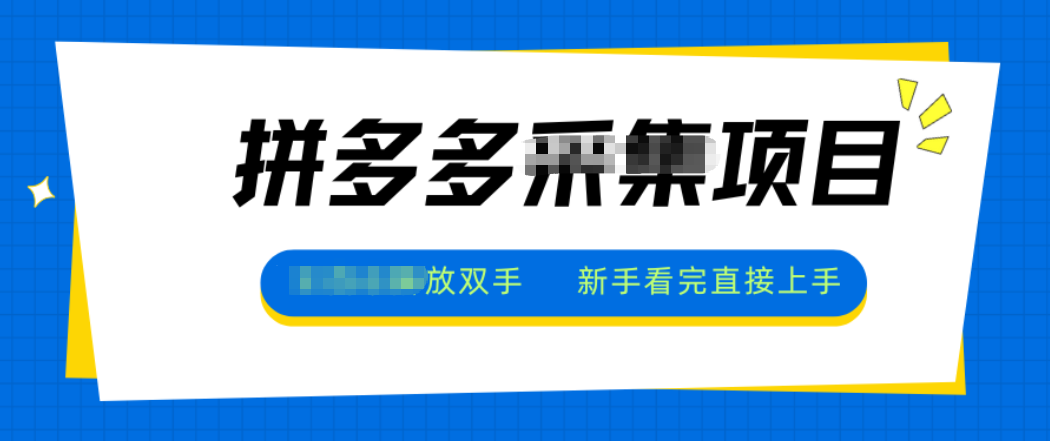拼多多电商采集，一小时50+，操作简单，零投资-52项目站