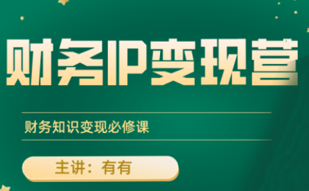 有有老师·财务IP变现营，财务知识变现必修课-52项目站