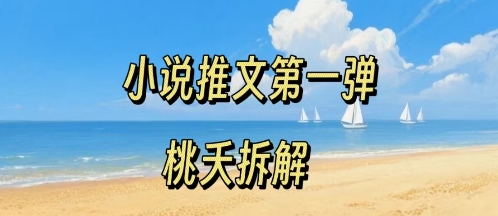 小说推文项目操作全流程第一弹,0粉就能做,门槛低非常适合新手-52项目站