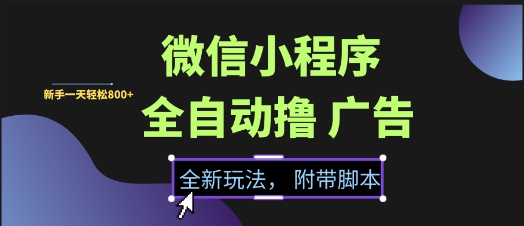 微信小程序全自动撸广告项目,彻底解决没流量的问题,新手一天8张+【揭秘】-52项目站