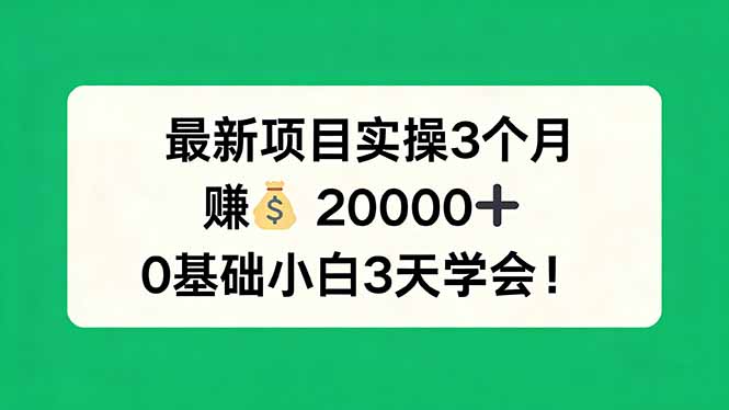 最新项目实操3个月，赚钱20000+，0基础小白3天学会！-52项目站