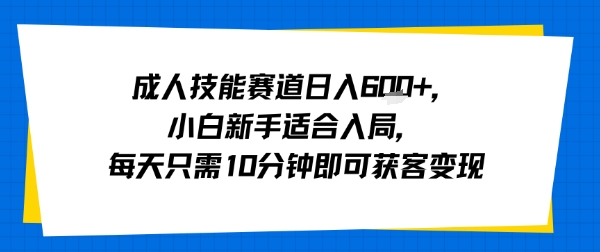 成人技能赛道日入多张,小白新手适合入局,每天只需10分钟即可获客变现-52项目站