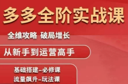 大炮·拼多多全阶实战课程(更新2026)-52项目站