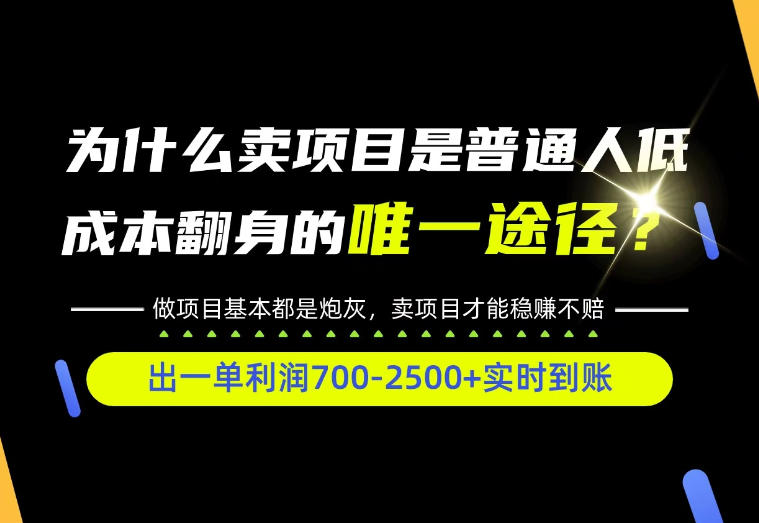 普通人如何靠互联网賺取自己的第一桶金!全类目实操型教学,看完你全都懂了!【揭秘】-52项目站