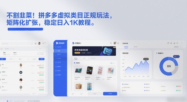 不割韭菜！拼多多虚拟类目正规玩法，矩阵化扩张，稳定日入1K教程【揭秘】-52项目站