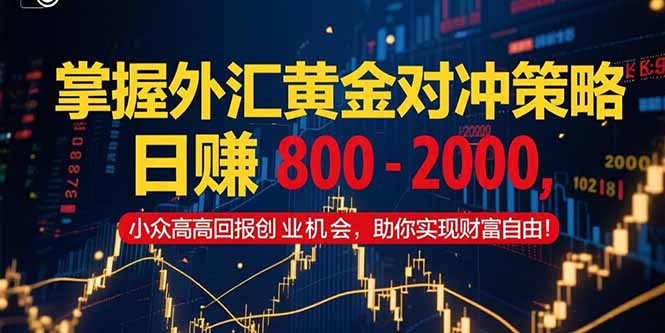 掌握外汇黄金对冲策略，日赚 800 – 2000，小众高回报创业机会，助你实…-52项目站