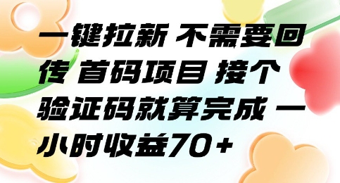 一键拉新 不需要回传 首码项目 接个验证码就算完成 一小时收益70+【揭秘】-52项目站