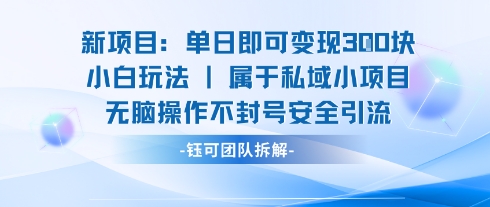 新项目单日即可变现3张的小白玩法无脑操作不封号安全引流-52项目站