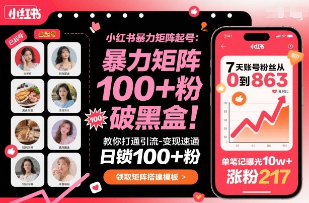 小红书暴力矩阵起号，教你打通引流-变现速通，日锁100+粉，破流量黑盒-52项目站