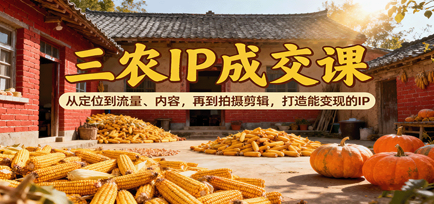 三农IP成交课：从定位到流量、内容，再到拍摄剪辑，打造能变现的IP-52项目站