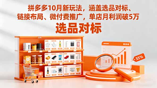 拼多多10月新玩法，涵盖选品对标、链接布局、微付费推广，单店月利润破5万-52项目站