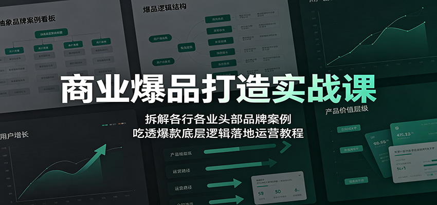 商业爆品打造实战课：拆解各行各业头部品牌案例，吃透爆款底层逻辑落地运营教程-52项目站