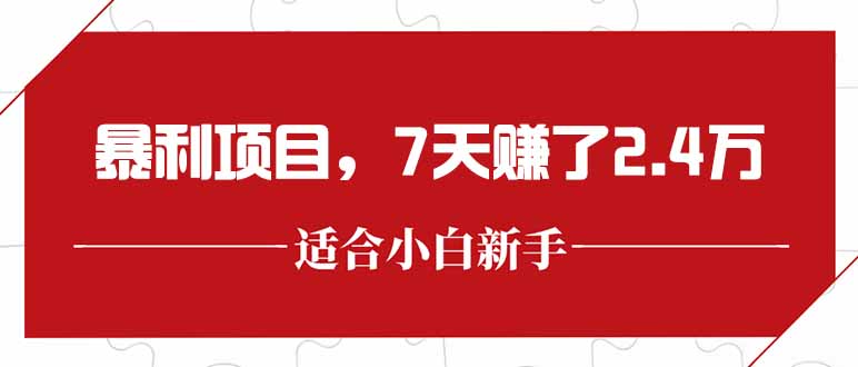 最新暴利项目，每单收益轻松在300以上，7天赚了2.4万-52项目站