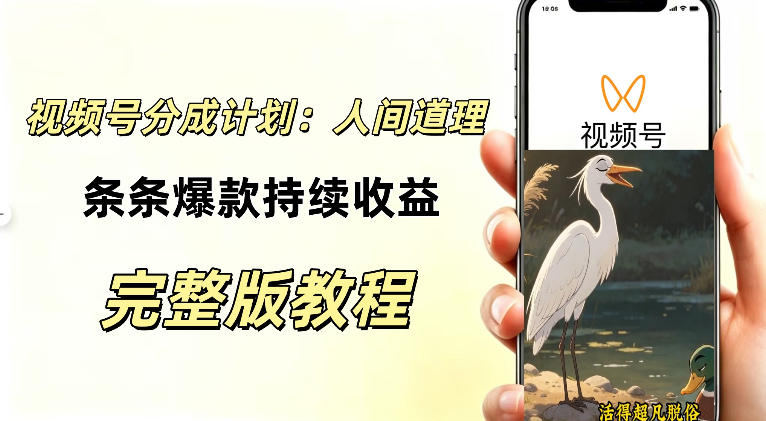 视频号新玩法之AI动漫画风励志视频，不用会画画、不用拍摄，持续化收益，详细拆解-52项目站