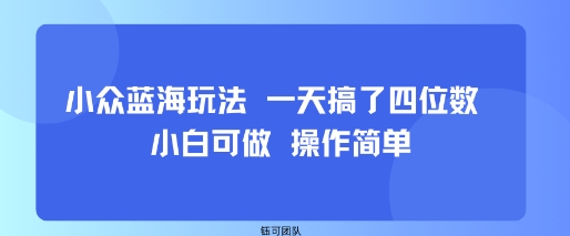 小众蓝海玩法 一天搞了四位数 小白可做 操作简单-52项目站