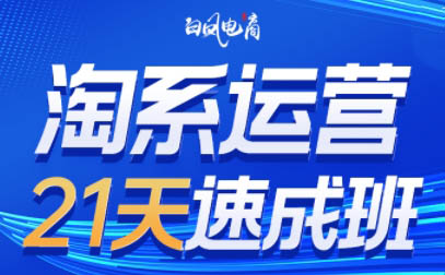 白凤电商·淘系运营21天速成班(更新4月)-52项目站