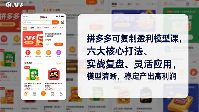 拼多多可复制盈利模型课，六大核心打法、实战复盘、灵活应用，模型清晰，稳定产出高利润-52项目站