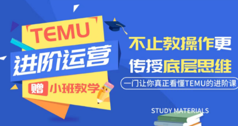 阿卡林·TEMU运营课程(基础+进阶)-52项目站