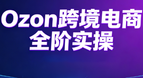 Ozon跨境电商全阶实操课程-52项目站