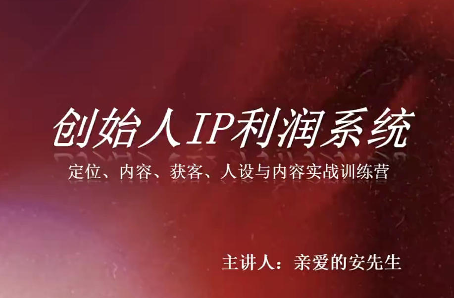 创始人IP利润系统8月训练营，定位、内容、获客、人设与内容实战训练营-52项目站