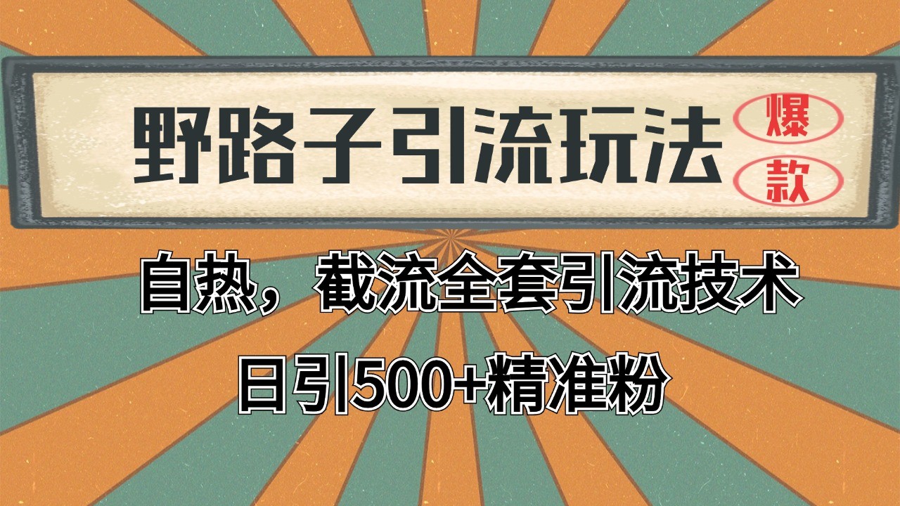 2024首发野路子引流玩法截流自热全平台打法,全自动引流【日引2000+精准客户】-52项目站