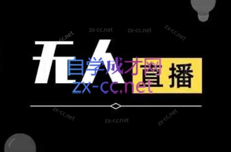 宝子哥·无人直播-非实时防风技术(更新5月)-52项目站