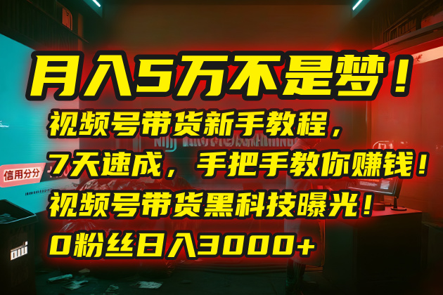 月入5万不是梦！视频号带货新手教程，7天速成，手把手教你赚钱！视频号…-52项目站