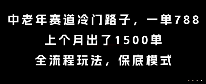 中老年赛道冷门路子，一单788，上个月出了1500单，全流程玩法，保底模式【揭秘】-52项目站