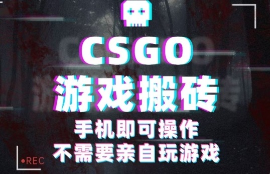 CSGO游戏挂G捡漏,单日扫货5张+,年底小高峰上车可吃肉,手机即可操作,兼职副业创业网创【揭秘】-52项目站
