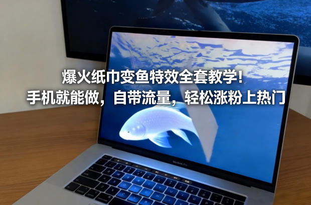 爆火纸巾变鱼特效全套教学！手机就能做，自带流量，轻松涨粉上热门-52项目站