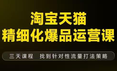 猫课子幽·淘宝天猫精细化爆品运营【音频+字幕+文档】(9月12-14杭州线下课)-52项目站