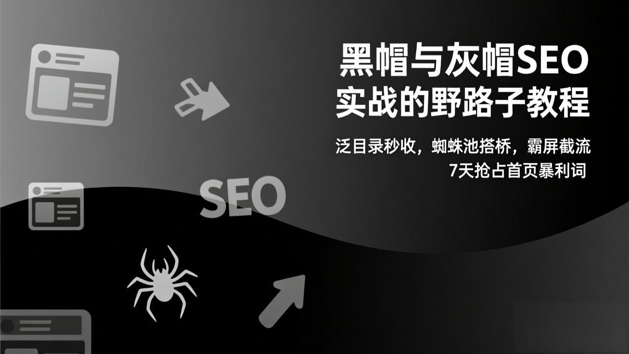 黑帽与灰帽SEO实战的野路子教程：泛目录秒收，蜘蛛池搭桥，霸屏截流，7天抢占首页暴利词-52项目站