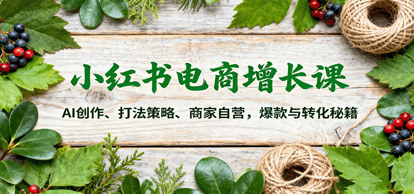 小红书电商增长课:AI创作、打法策略、商家自营,爆款与转化秘籍-52项目站