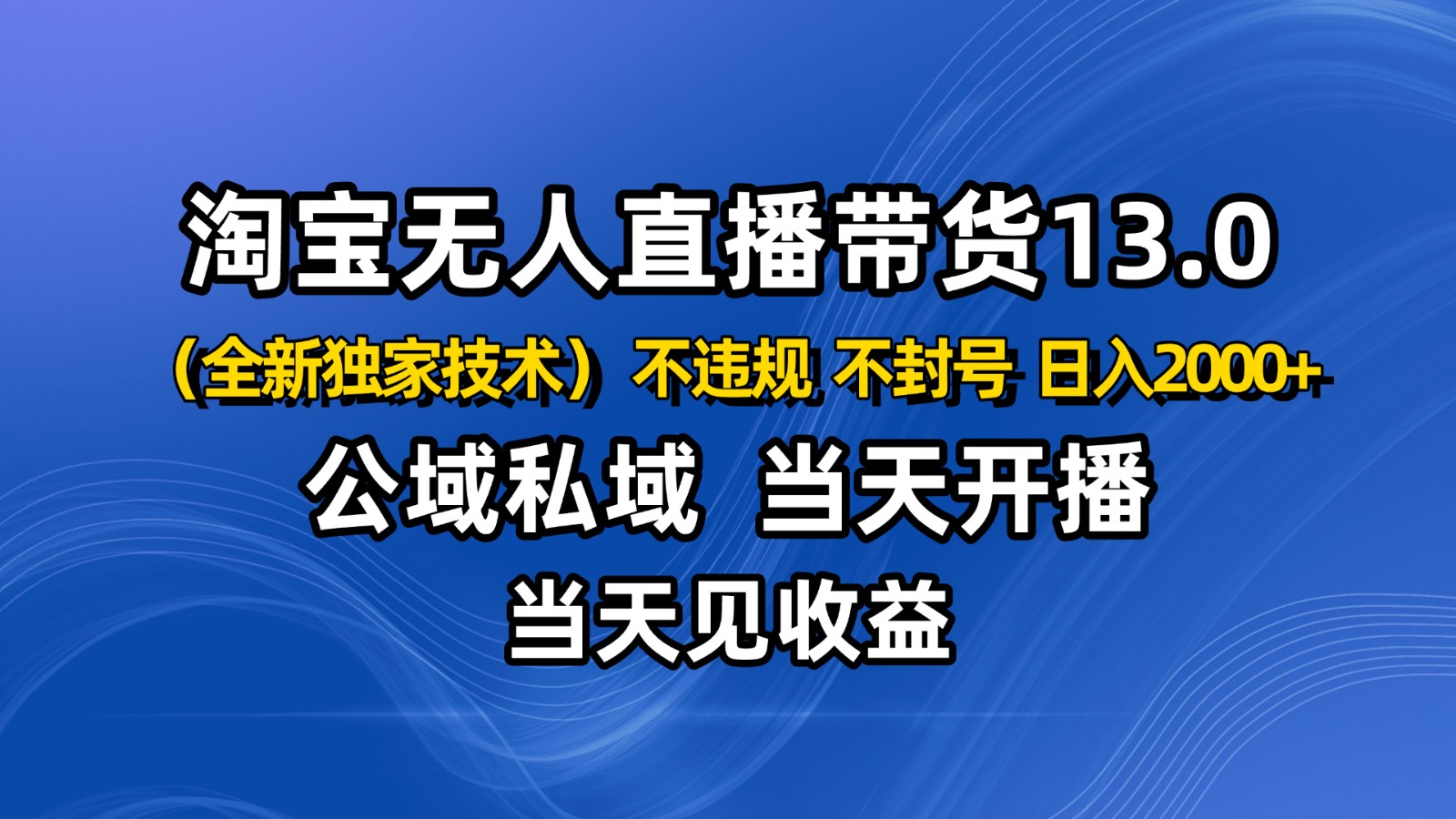 淘宝无人直播13.0，公域私域技术，不封号，不违规 布局下半年旺季赛道，日入2000+-52项目站