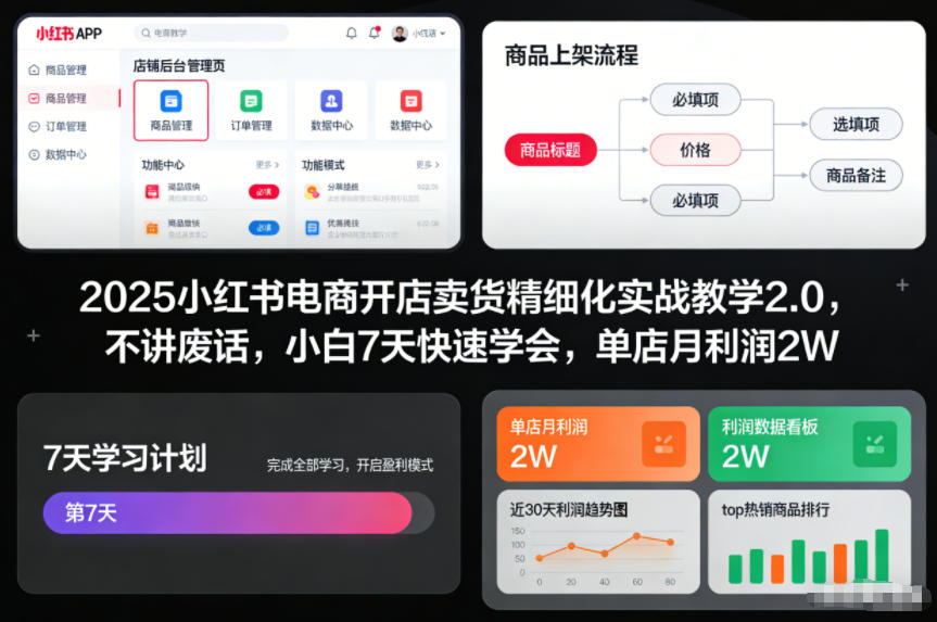 2025小红书电商开店卖货精细化实战教学2.0，不讲废话，小白7天快速学会，单店月利润2W-52项目站