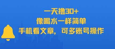 一天撸30+，像喝水一样简单，手机看文章，可多账号操作-52项目站