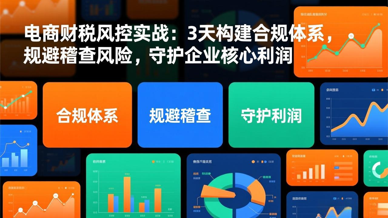 电商财税风控实战:3天构建合规体系,规避稽查风险,守护企业核心利润-52项目站