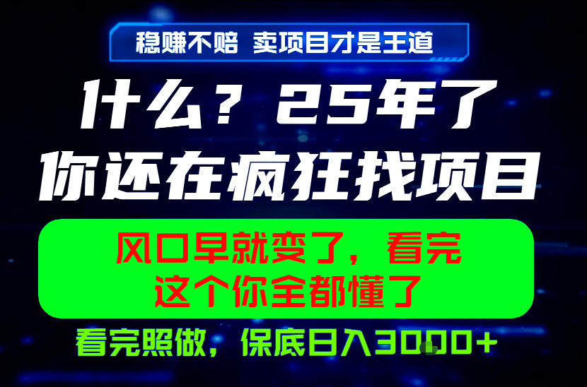 26年,请不要疯狂的找项目做了!卖项目才是真的稳賺不赔,看完照做,保底日入1k+【揭秘】-52项目站