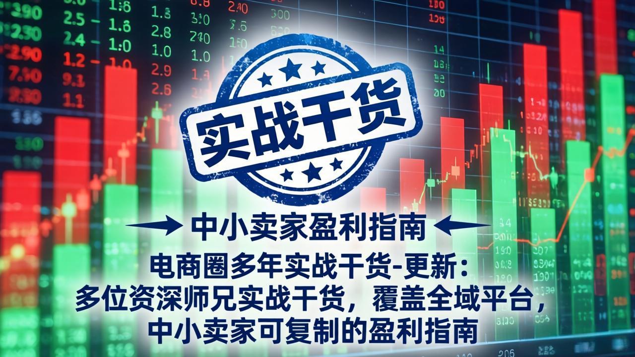 电商圈多年实战干货-更新4月：多位资深师兄实战干货，覆盖全域平台，中小卖家可复制的盈利指南-52项目站