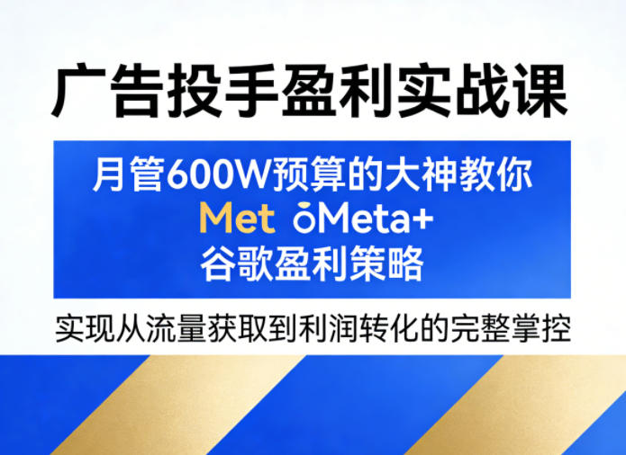 广告投手盈利实战课，月管600W预算的大神教你Meta+谷歌盈利策略，实现从流量获取到利润转化的完整掌控-52项目站