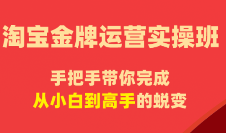 飓风电商·淘宝金牌运营实操班-52项目站
