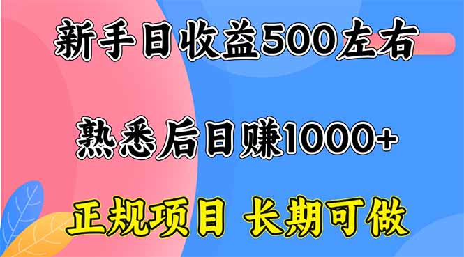 新手日收益500+ 正规项目 长期可做-52项目站
