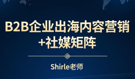 shirle老师·B2B企业出海内容营销+社媒矩阵-52项目站
