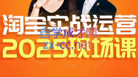 推易·淘宝全套运营现场课程(更新12月)-52项目站