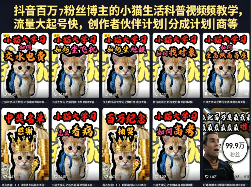 抖音百万粉丝博主的小猫生活科普视频教学,流量大起号快,创作者伙伴计划|分成计划|商单|收徒等-52项目站