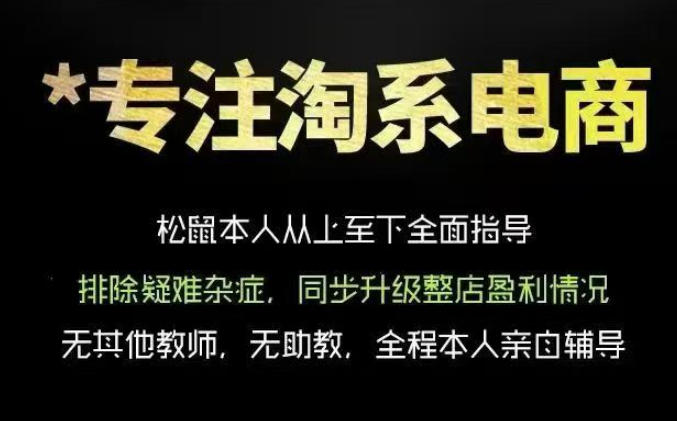 松鼠会电商VIP课程，从基础布局到高阶优化，助你掌握淘宝运营逻辑，提升店铺流量与转化(更新0809)-52项目站