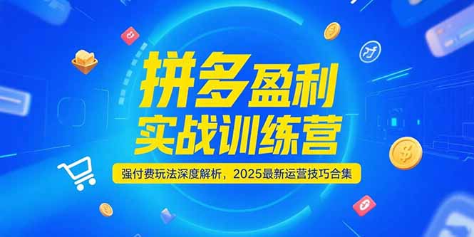 拼多多盈利实战训练营，强付费玩法深度解析，2025运营技巧合集-更新6月-52项目站
