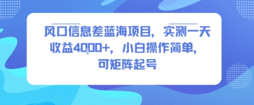 风口信息差蓝海项目，实测一天收益4k+，小白操作简单，可矩阵起号-52项目站
