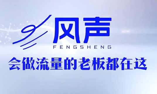 董十一·风声短视频AI获客年度会员-52项目站