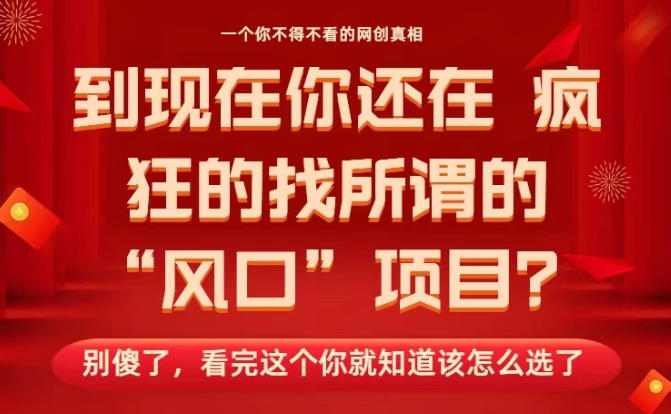 马上26年了,你还在找所谓的风口项目?别傻了,看完这个你全都懂了!【揭秘】-52项目站